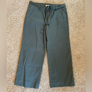 Loft Wide Leg Chino Spring Green Trouser Crop Pants Size 10
